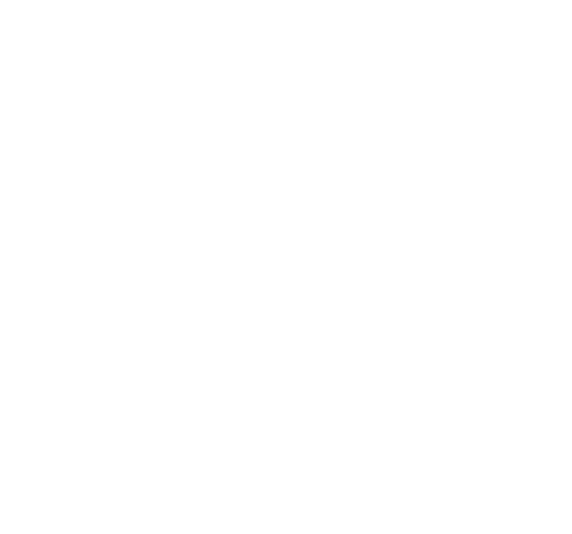 Samuri Wizard